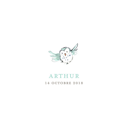 Faire-part de naissance Hibou aquarelle 2 photos blanc Faire-part de naissance Hibou aquarelle 2 photos blanc