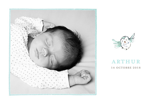 Faire-part de naissance Hibou aquarelle 5 photos blanc Faire-part de naissance Hibou aquarelle 5 photos blanc