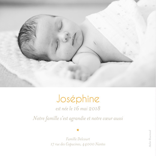 Faire-part de naissance Le lac des cygnes rv jaune Faire-part de naissance Le lac des cygnes rv jaune