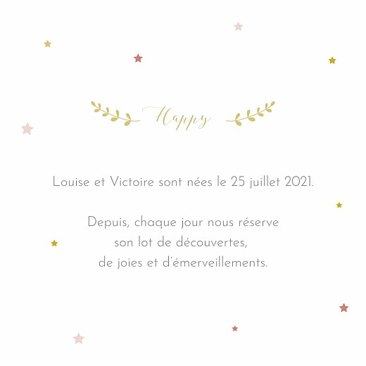 Faire-part de naissance Lovely family twins (triptyque) fille Faire-part de naissance Lovely family twins (triptyque) fille