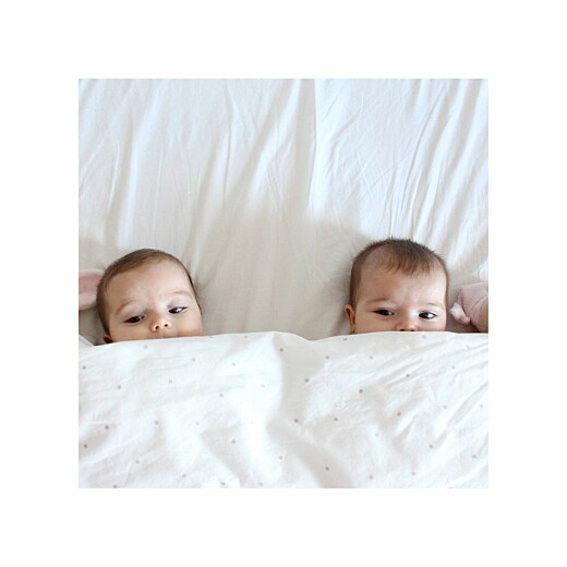 Faire-part de naissance Lovely family twins (triptyque) fille Faire-part de naissance Lovely family twins (triptyque) fille