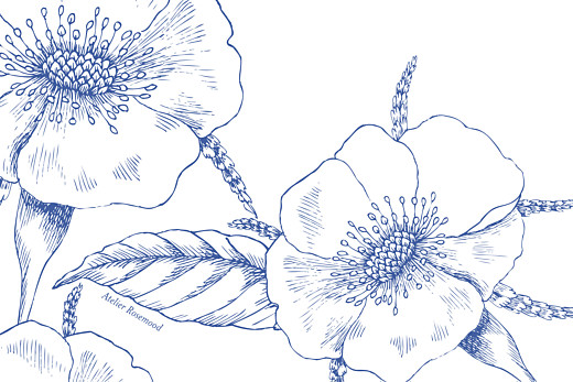 Carton réponse mariage Gravure chic bleu Carton réponse mariage Gravure chic bleu