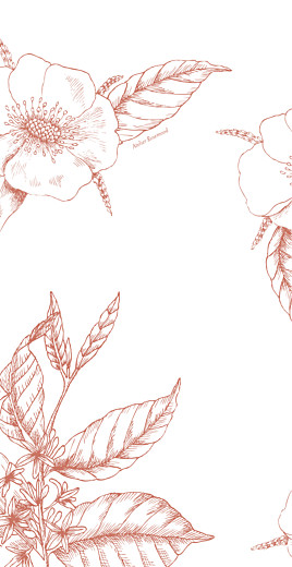 Menu de mariage Gravure chic (4 pages) corail - Page 4 Menu de mariage Gravure chic (4 pages) corail - Page 4