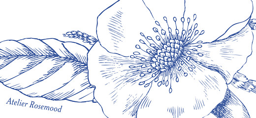 Etiquette de mariage Gravure chic bleu Etiquette de mariage Gravure chic bleu