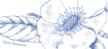 Etiquette de mariage Gravure chic bleu Etiquette de mariage Gravure chic bleu