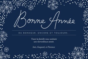 Carte de voeux Flocons de neige 3 photos bleu Carte de voeux Flocons de neige 3 photos bleu