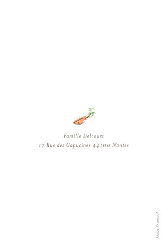 Faire-part de naissance Petit lapin champêtre fille - Page 4 Faire-part de naissance Petit lapin champêtre fille - Page 4