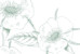 Carton réponse mariage Gravure chic vert - Page 1 Carton réponse mariage Gravure chic vert - Page 1