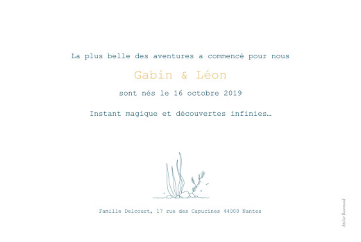Faire-part de naissance Baleine extraordinaire twins jaune - Page 2 Faire-part de naissance Baleine extraordinaire twins jaune - Page 2