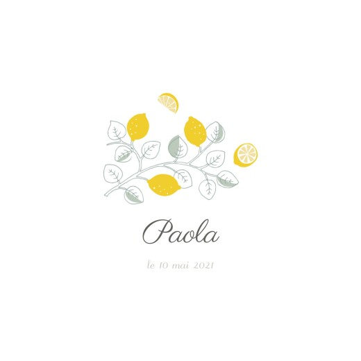Faire-part de naissance Citrons photo jaune - Verso Faire-part de naissance Citrons photo jaune - Verso