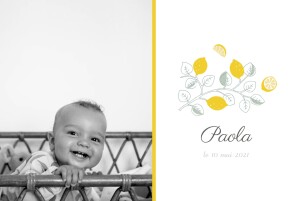 Faire-part de naissance Citrons 2 photos jaune Faire-part de naissance Citrons 2 photos jaune