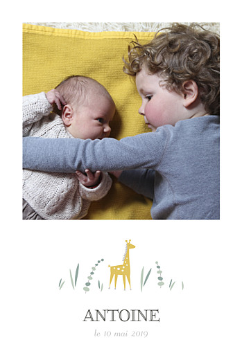 Faire-part de naissance Girafe 4 photos rv blanc Faire-part de naissance Girafe 4 photos rv blanc