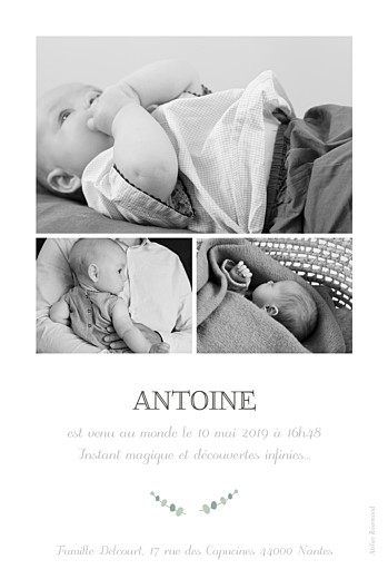 Faire-part de naissance Girafe 4 photos rv blanc - Page 2 Faire-part de naissance Girafe 4 photos rv blanc - Page 2
