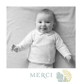 Carte de remerciement Petit jardin tropical photo vert