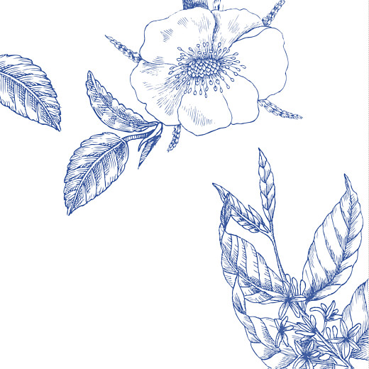 Faire-part de mariage Gravure chic (4 pages) bleu Faire-part de mariage Gravure chic (4 pages) bleu