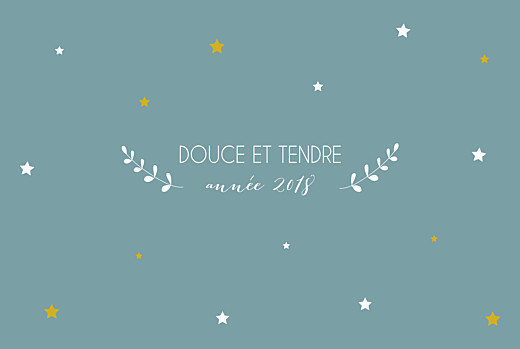Carte de voeux Etoiles d'hiver 3 photos bleu Carte de voeux Etoiles d'hiver 3 photos bleu