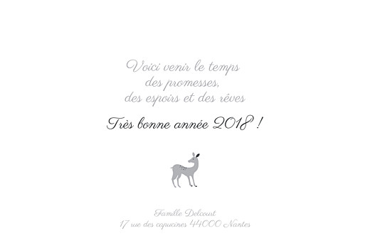 Carte de voeux Biche de noël gris - Page 3 Carte de voeux Biche de noël gris - Page 3