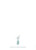 Livret de messe mariage Bouquet sauvage rose - Page 4 Livret de messe mariage Bouquet sauvage rose - Page 4
