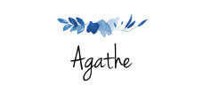 Marque-place mariage Jardin anglais bleu Marque-place mariage Jardin anglais bleu