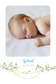 Faire-part de naissance Sur la branche portrait bleu