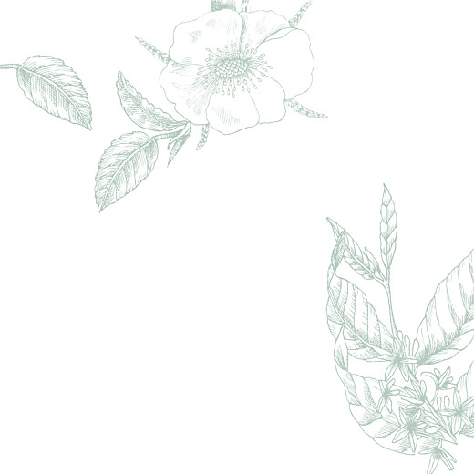 Faire-part de mariage Gravure simple (4 pages) vert - Page 2 Faire-part de mariage Gravure simple (4 pages) vert - Page 2