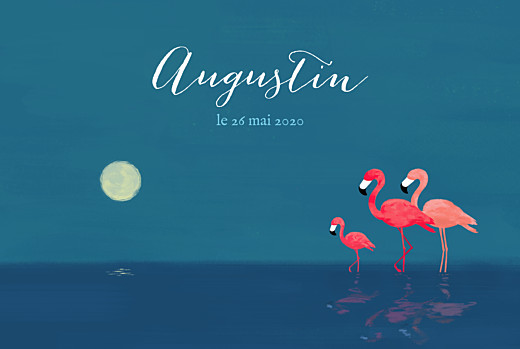 Faire-part de naissance 3 flamingos (paysage) bleu Faire-part de naissance 3 flamingos (paysage) bleu