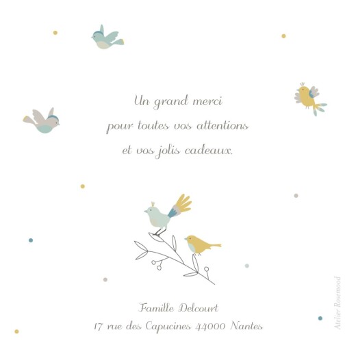Carte de remerciement Merci oiseaux multicolores vert - Verso Carte de remerciement Merci oiseaux multicolores vert - Verso