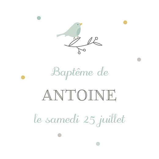 Etiquette perforée baptême Oiseaux multicolores vert - Recto Etiquette perforée baptême Oiseaux multicolores vert - Recto