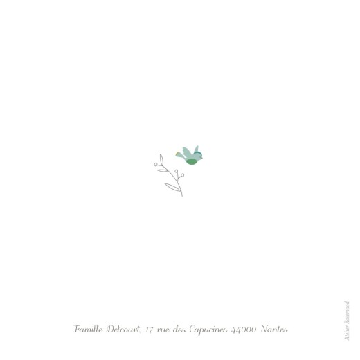 Faire-part de naissance Oiseaux multicolores 3 photos rose - Page 4 Faire-part de naissance Oiseaux multicolores 3 photos rose - Page 4