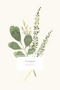 Carte de remerciement mariage Fleurs aquarelle crème Carte de remerciement mariage Fleurs aquarelle crème