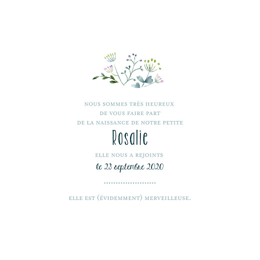 Faire-part de naissance Bouquet sauvage bleu - Page 3 Faire-part de naissance Bouquet sauvage bleu - Page 3