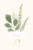 Faire-part de mariage Fleurs aquarelle herbier bleu - Page 1 Faire-part de mariage Fleurs aquarelle herbier bleu - Page 1