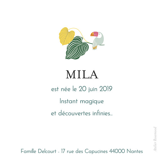 Faire-part de naissance Jardin exotique (triptyque) vert - Page 5 Faire-part de naissance Jardin exotique (triptyque) vert - Page 5