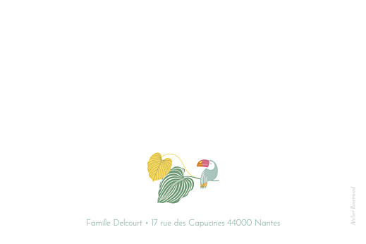 Carte de correspondance Jardin exotique beige - Verso Carte de correspondance Jardin exotique beige - Verso