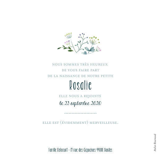 Faire-part de naissance Bouquet sauvage bleu - Verso Faire-part de naissance Bouquet sauvage bleu - Verso