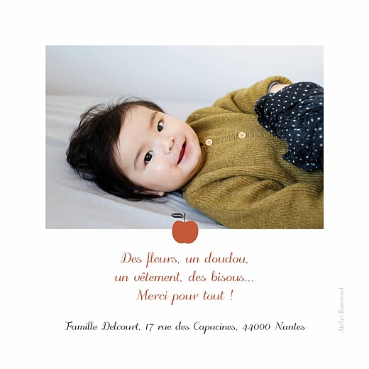 Carte de remerciement Merci petits fruits pomme - Verso Carte de remerciement Merci petits fruits pomme - Verso