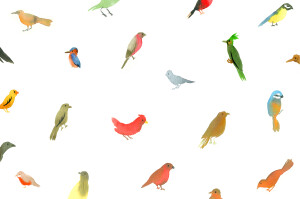 Carte de correspondance Jolis oiseaux blanc