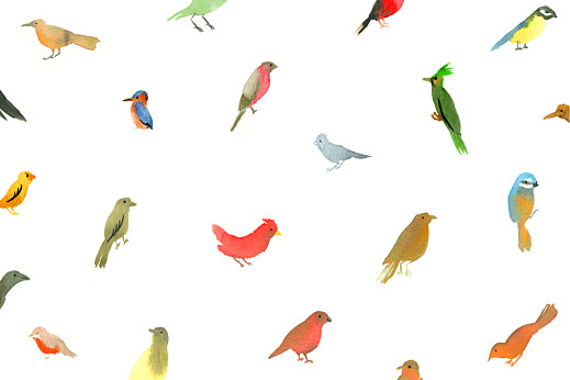 Carte de correspondance Jolis oiseaux blanc - Recto