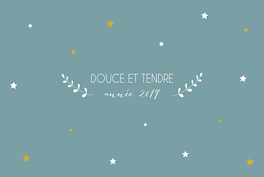 Carte de voeux Etoiles d'hiver 3 photos bleu Carte de voeux Etoiles d'hiver 3 photos bleu
