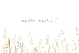 Carte de remerciement mariage beige les hautes herbes sable Carte de remerciement mariage beige les hautes herbes sable