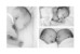 Faire-part de naissance Winter family (jumeaux) 1 - Page 2 Faire-part de naissance Winter family (jumeaux) 1 - Page 2