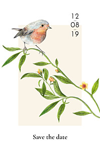 Save the date beige mélopée blanc Save the date beige mélopée blanc