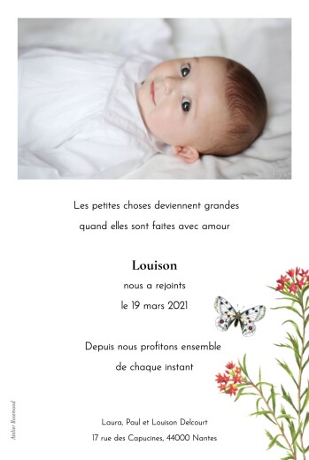 Faire-part de naissance Mélopée (portrait) mésange - Verso Faire-part de naissance Mélopée (portrait) mésange - Verso