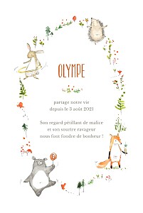 Faire-part de naissance automne-hiver la ronde des animaux blanc Faire-part de naissance automne-hiver la ronde des animaux blanc