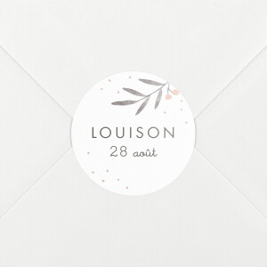 Stickers pour enveloppes baptême Jolies brindilles rose Stickers pour enveloppes baptême Jolies brindilles rose