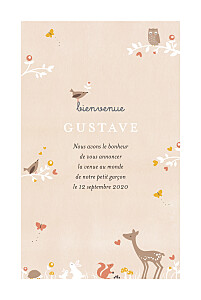 Faire-part de naissance printemps-eté forêt enchantée beige Faire-part de naissance printemps-eté forêt enchantée beige