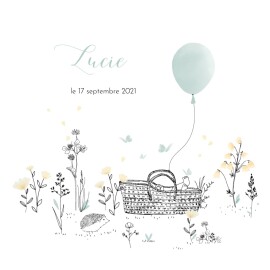 Faire-part de naissance Sieste sur l'herbe vert