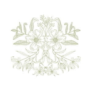 Carton d'invitation mariage classique psyché vert Carton d'invitation mariage classique psyché vert