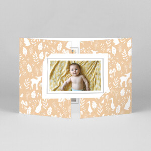 Faire-part de naissance Fable (fenêtre paysage) orange Faire-part de naissance Fable (fenêtre paysage) orange
