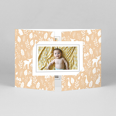 Faire-part de naissance vintage fable (fenêtre paysage) orange Faire-part de naissance vintage fable (fenêtre paysage) orange